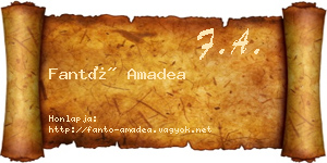 Fantó Amadea névjegykártya